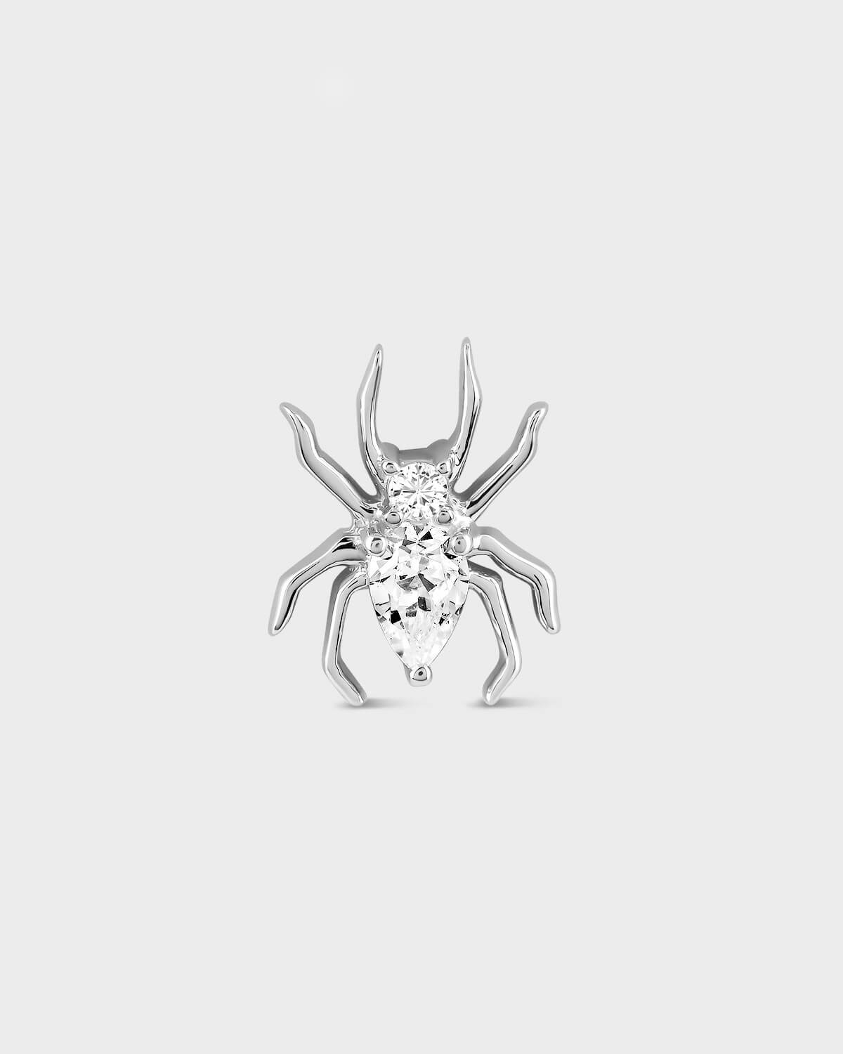 Silver spider-shaped earring on a light gray background