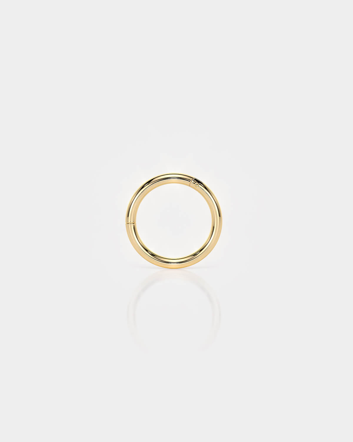 HINGED RING | TITANIUM | 24k GOLD
